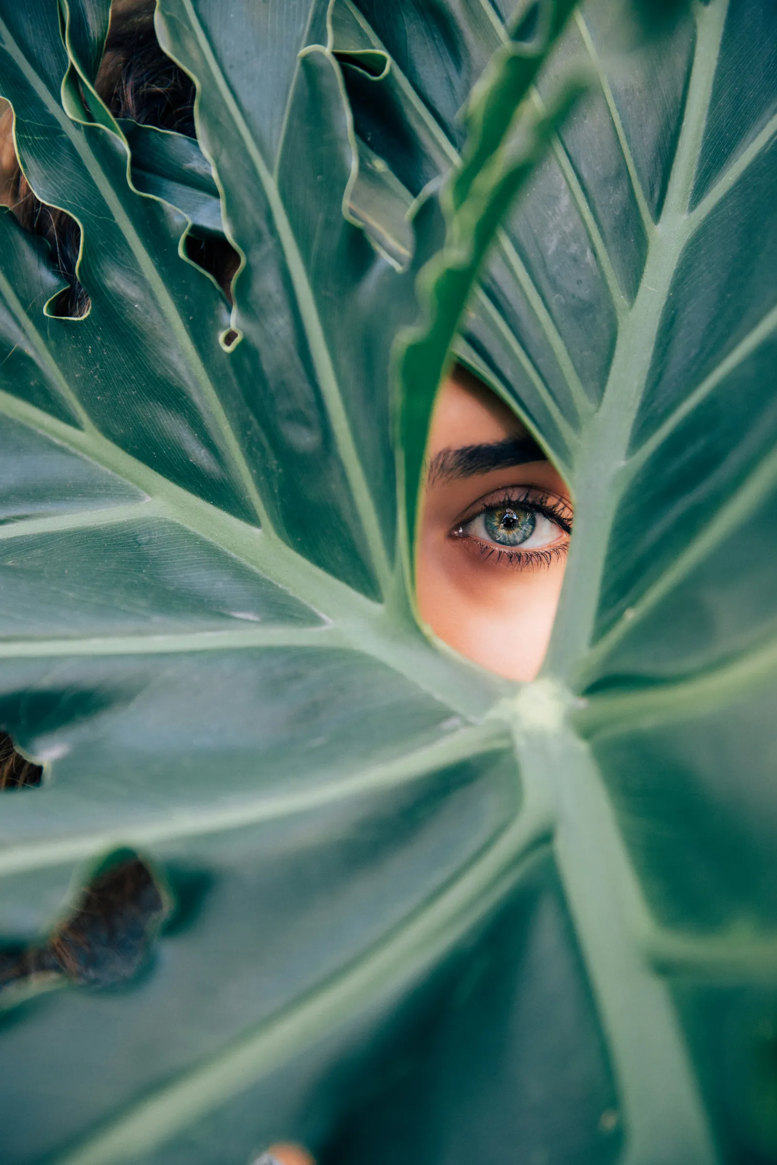 Close-up of a face framed by tropical leaves at a med spa